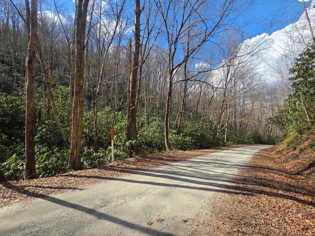 1104 Mill Creek Road Property Photo 3