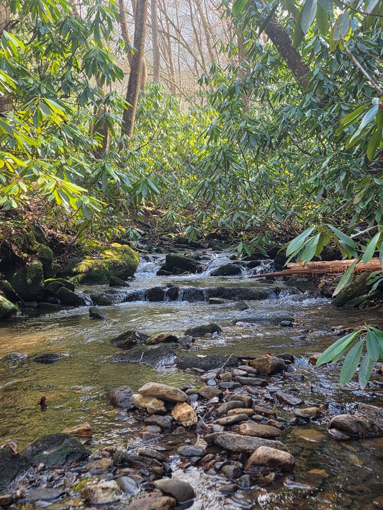 1104 Mill Creek Road Property Photo 13