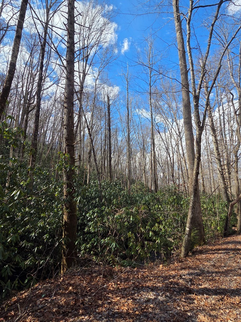 1104 Mill Creek Road Property Photo 16