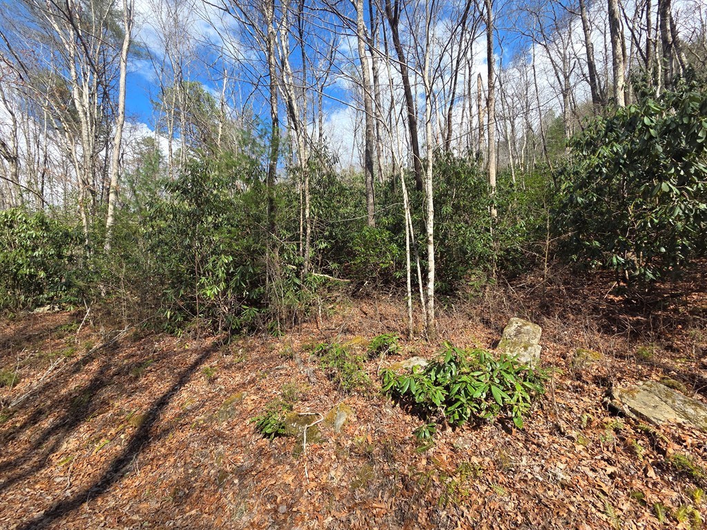 1104 Mill Creek Road Property Photo 17