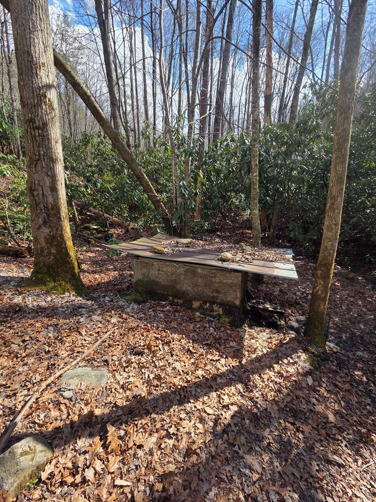 1104 Mill Creek Road Property Photo 19