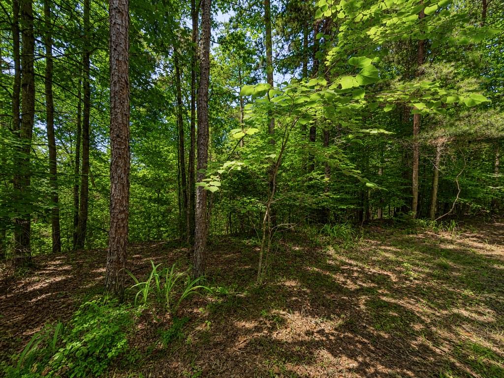 1652 Sable Court Property Photo 1