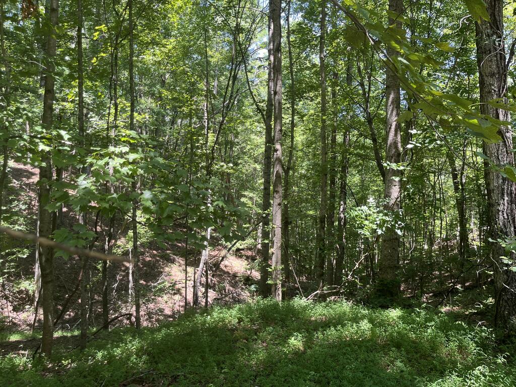 0 Twin Oaks