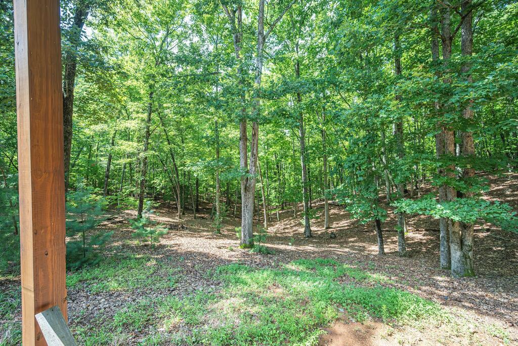 72 Gibbs Trail Property Photo 17