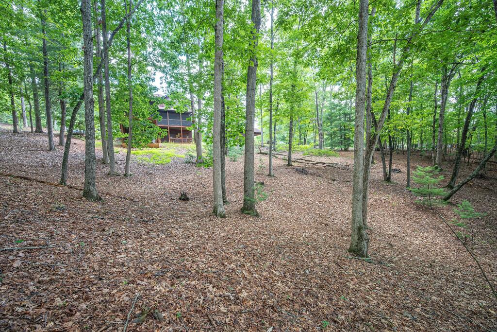72 Gibbs Trail Property Photo 18