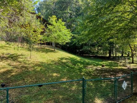 300 Chapman Lane Property Photo 43