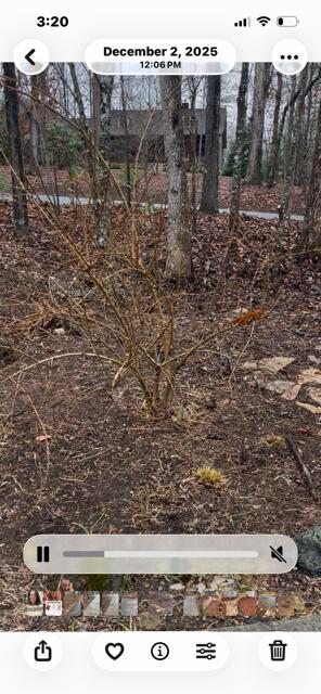 2279 Hy Top Road Property Photo 17