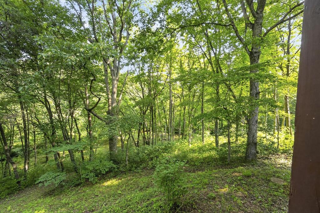245 Sunrise Valley Road Property Photo 37