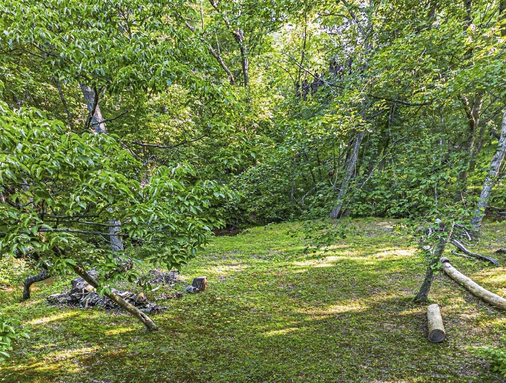 245 Sunrise Valley Road Property Photo 42