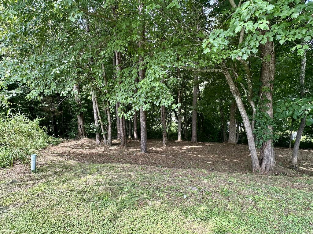 Lot 11 Bent Grass Circle Property Photo 5