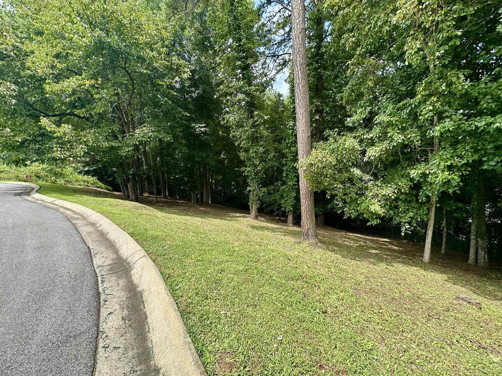 Lot 11 Bent Grass Circle Property Photo 8
