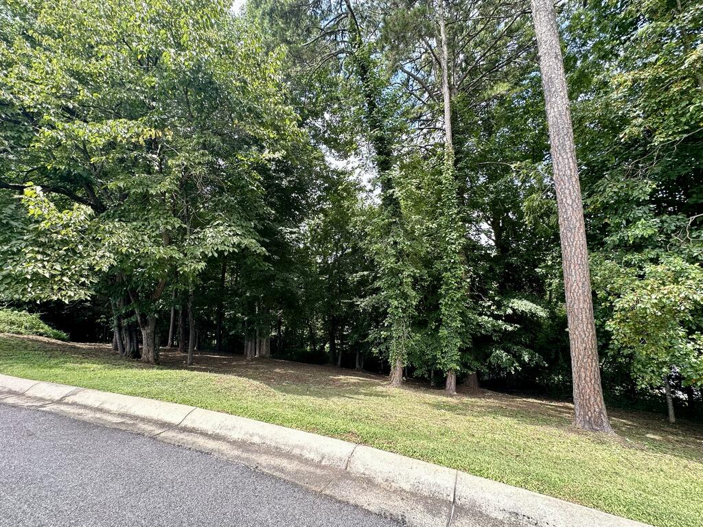 Lot 11 Bent Grass Circle Property Photo 11
