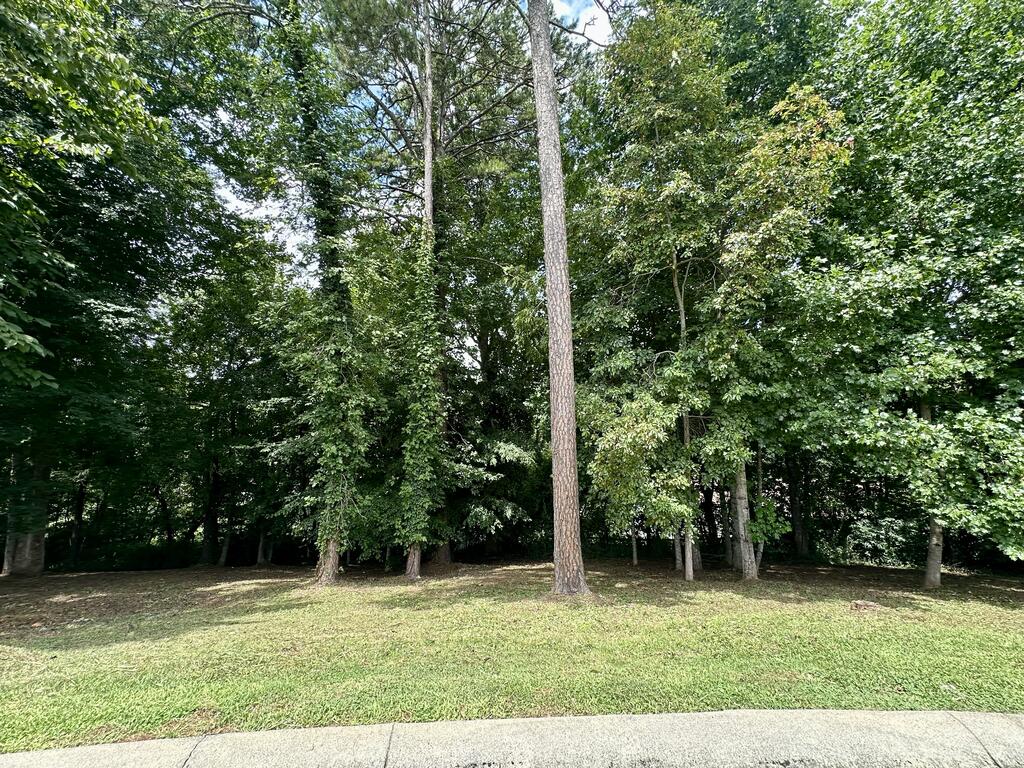 Lot 11 Bent Grass Circle Property Photo 12