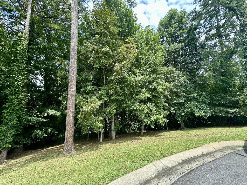 Lot 11 Bent Grass Circle Property Photo 13