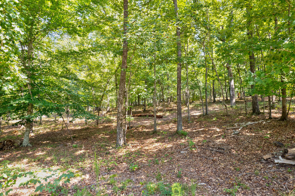 7.58 Ac. James Ed Road Property Photo 6