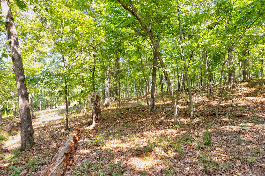 7.58 Ac. James Ed Road Property Photo 7
