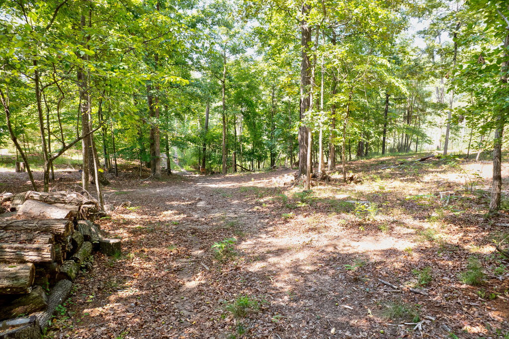7.58 Ac. James Ed Road Property Photo 8