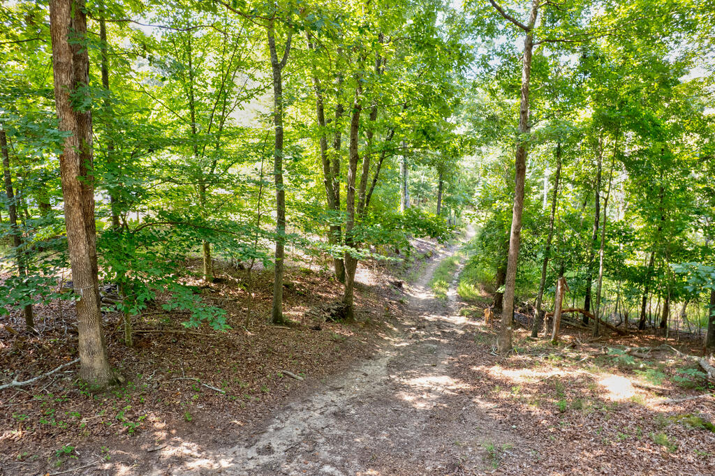 7.58 Ac. James Ed Road Property Photo 9