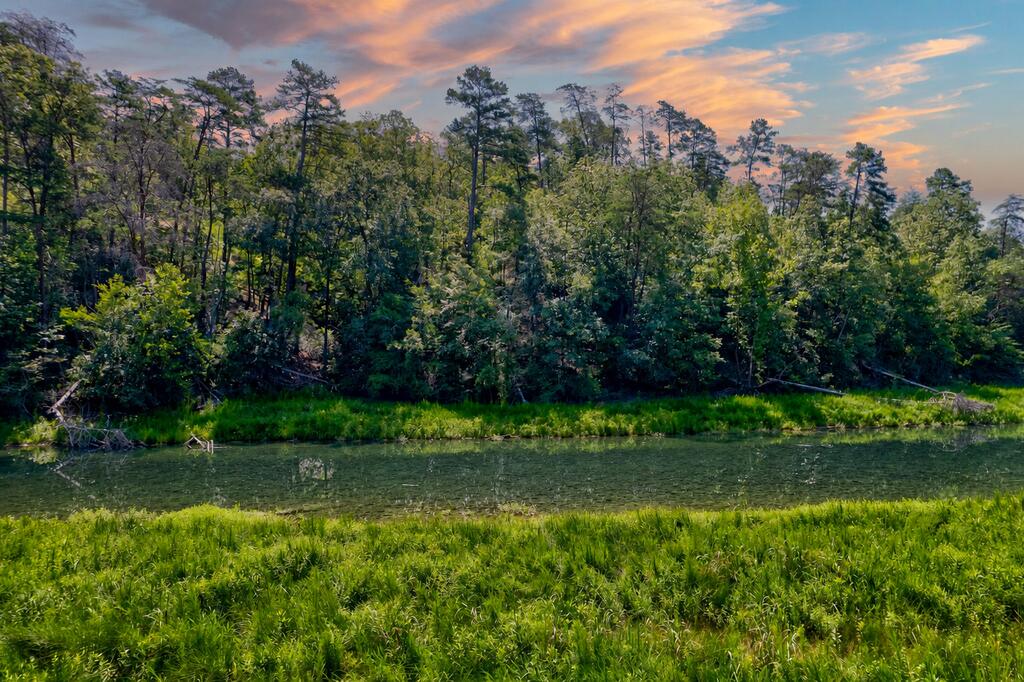 7.58 Ac. James Ed Road Property Photo 14