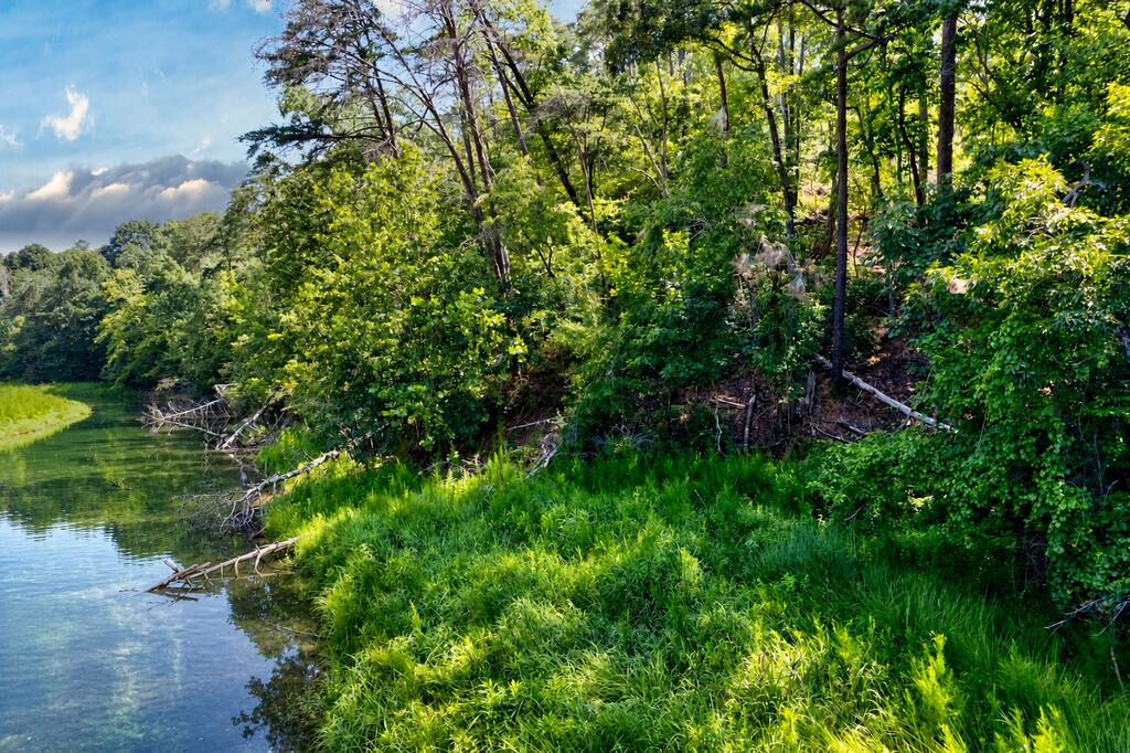 7.58 Ac. James Ed Road Property Photo 16