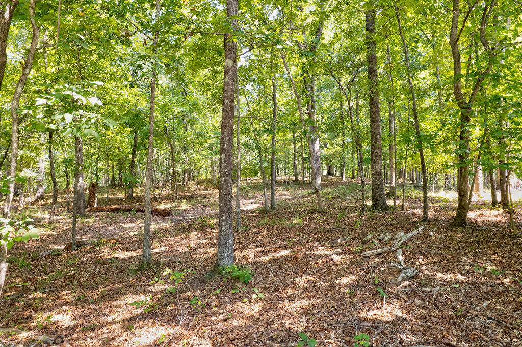 3824 James Ed Road Property Photo 5