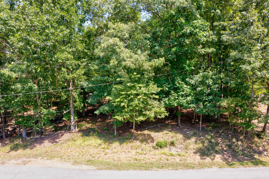 3824 James Ed Road Property Photo 7