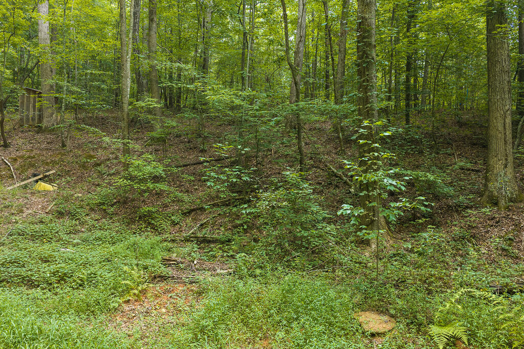 300 Sumac Lane Property Photo 7