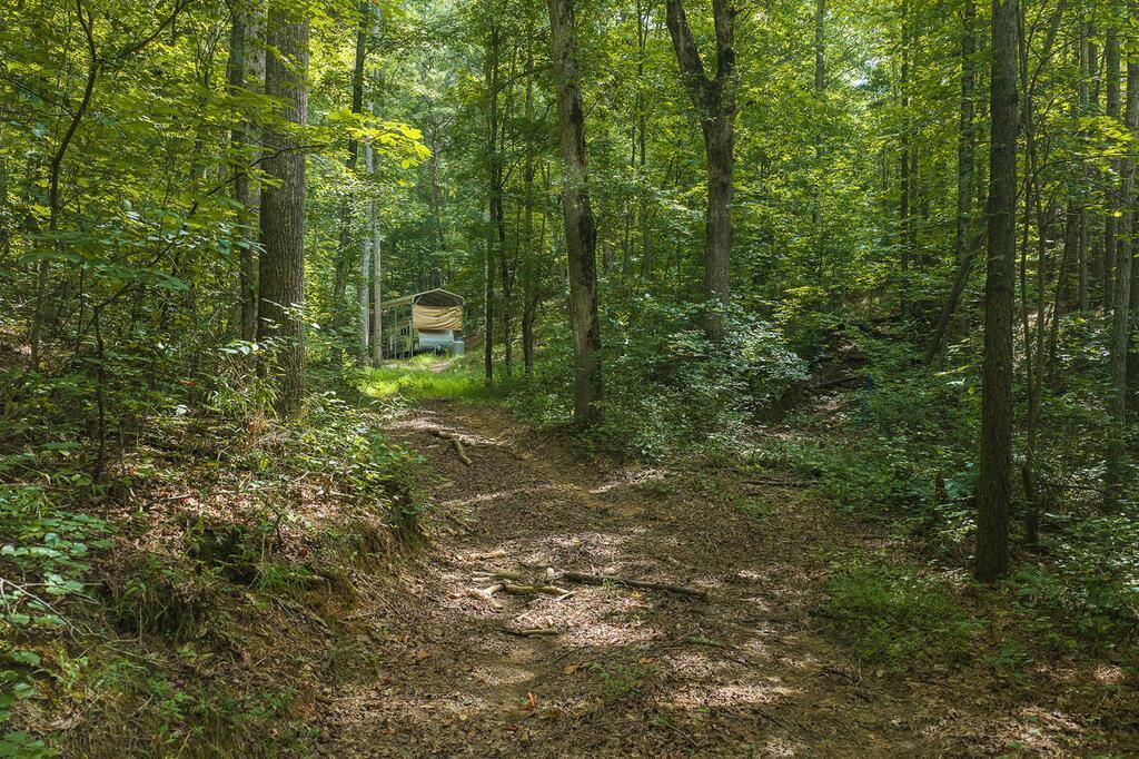 300 Sumac Lane Property Photo 11