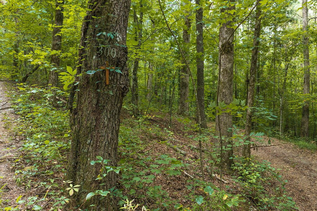 300 Sumac Lane Property Photo 16
