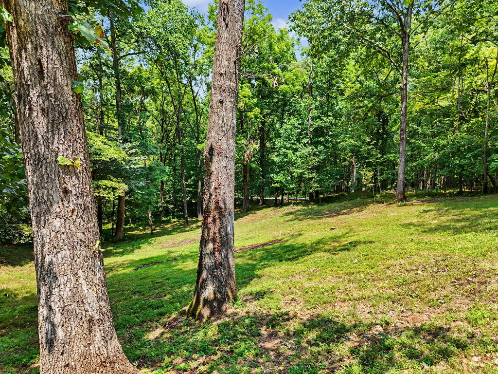 210 Majestic Drive Property Photo 73