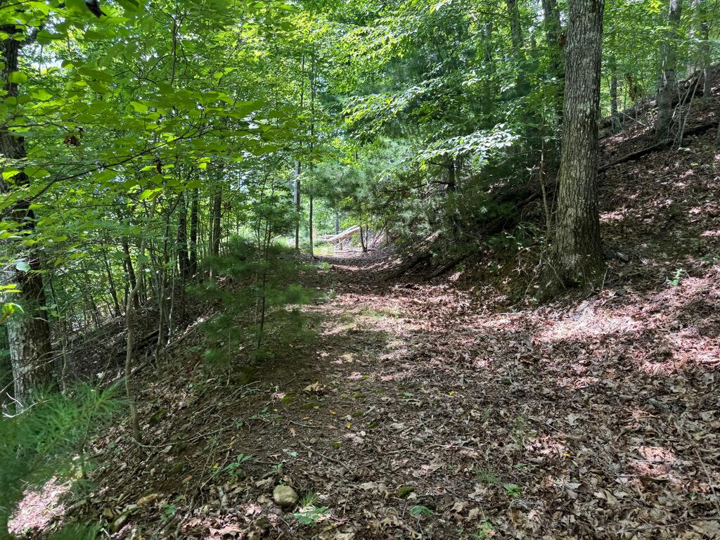 #2 & #7 Ivy Lane Property Photo 3