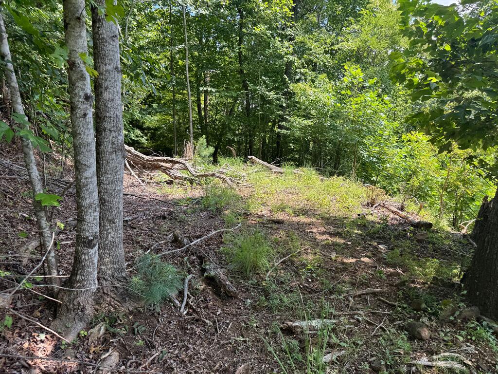 #2 & #7 Ivy Lane Property Photo 5