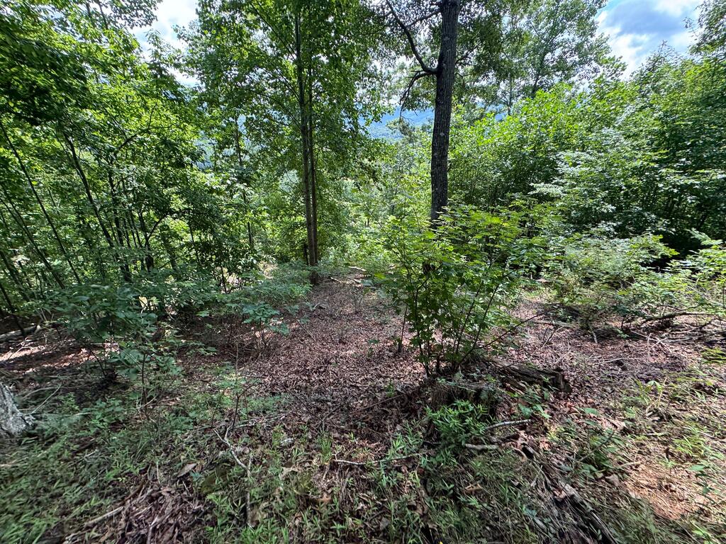 #2 & #7 Ivy Lane Property Photo 6