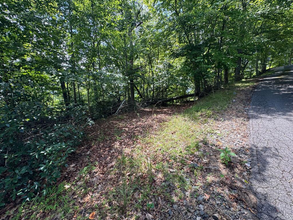 #2 & #7 Ivy Lane Property Photo 7