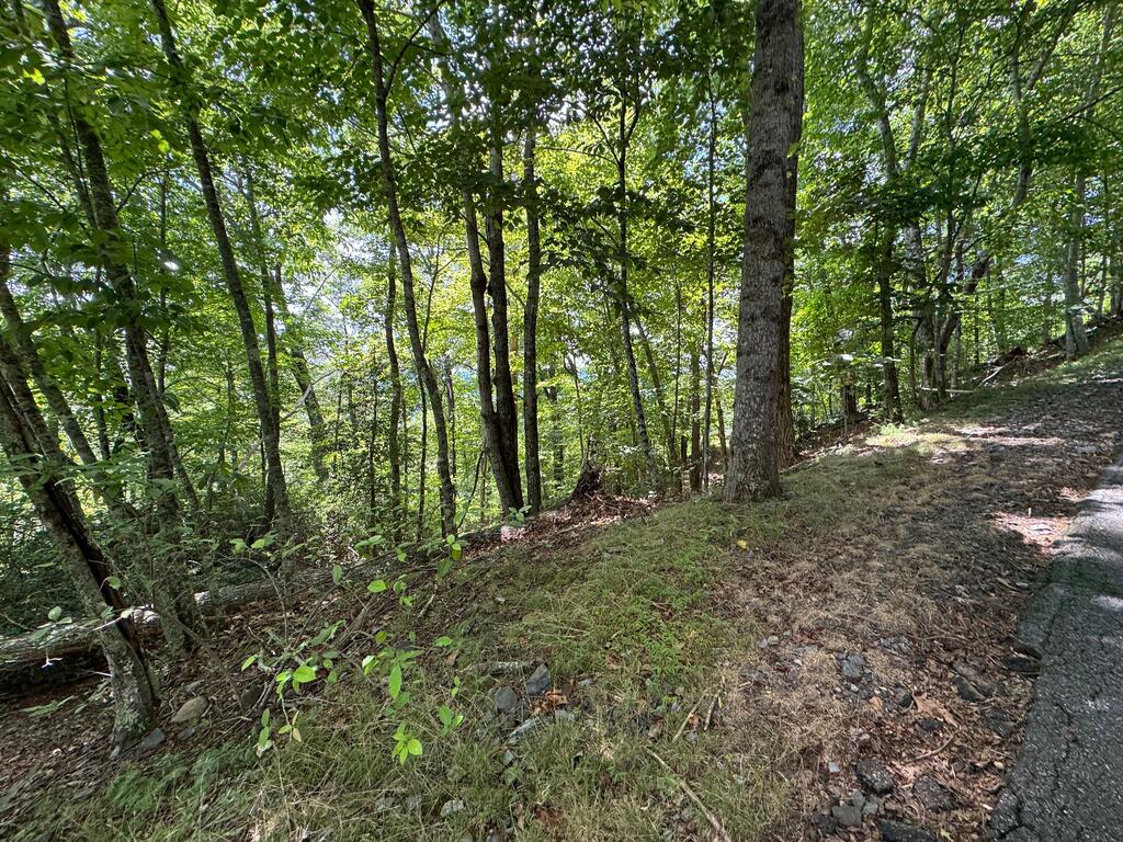#2 & #7 Ivy Lane Property Photo 8