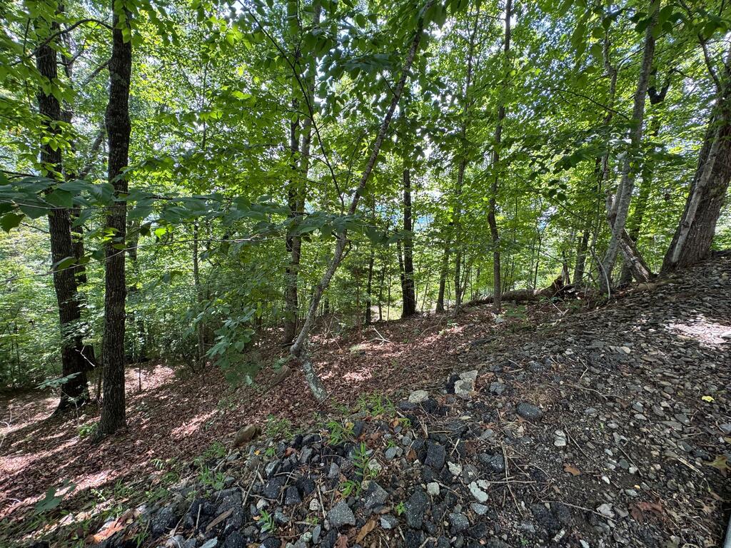 #2 & #7 Ivy Lane Property Photo 9