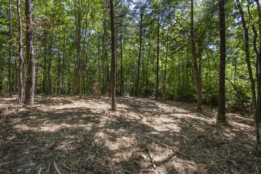 34 Ac Donley Road Property Photo 13