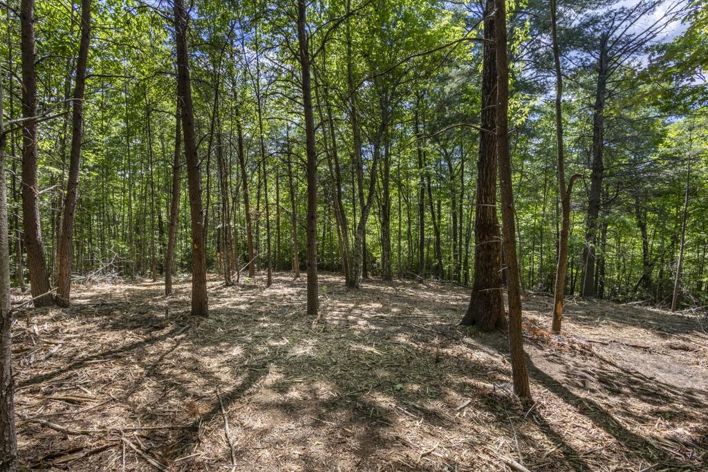 34 Ac Donley Road Property Photo 14