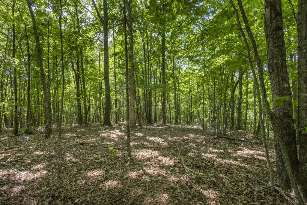 34 Ac Donley Road Property Photo 15