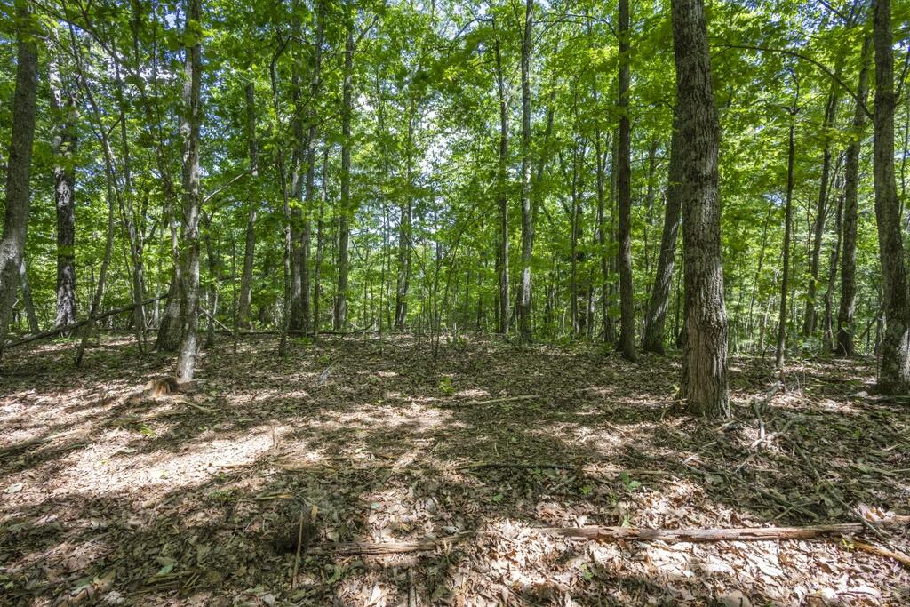 34 Ac Donley Road Property Photo 16