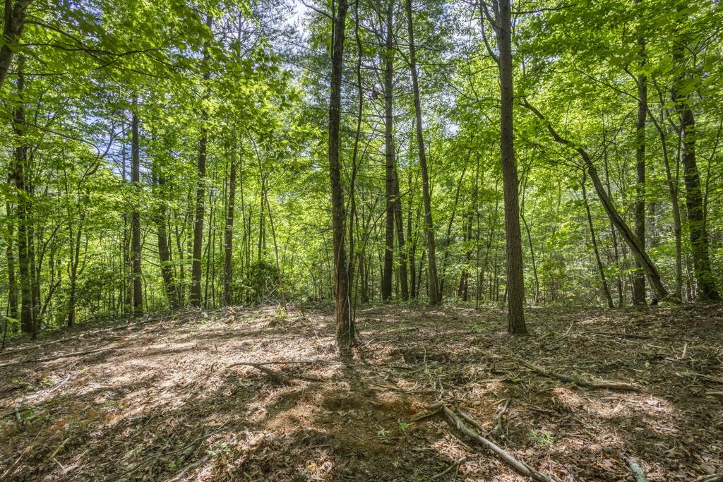 34 Ac Donley Road Property Photo 18
