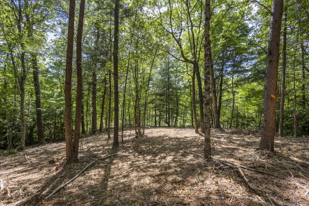 34 Ac Donley Road Property Photo 19