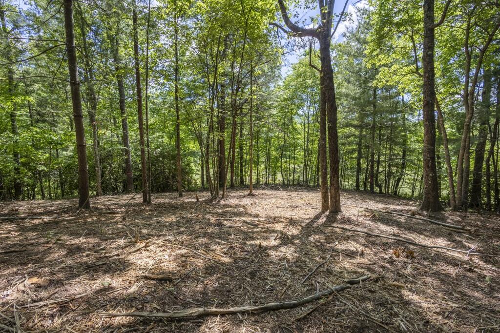 34 Ac Donley Road Property Photo 20