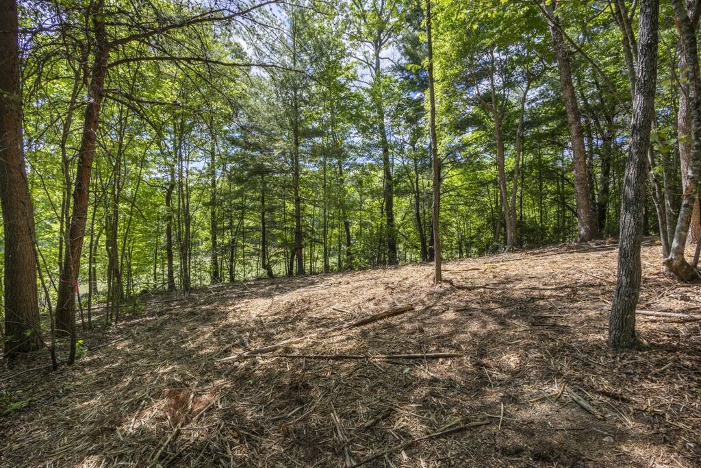 34 Ac Donley Road Property Photo 22