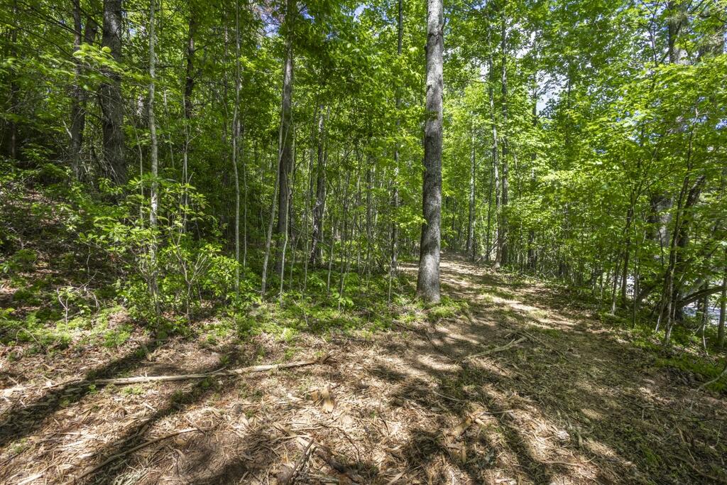 34 Ac Donley Road Property Photo 23
