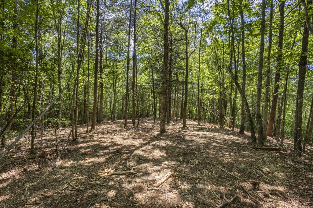 34 Ac Donley Road Property Photo 24