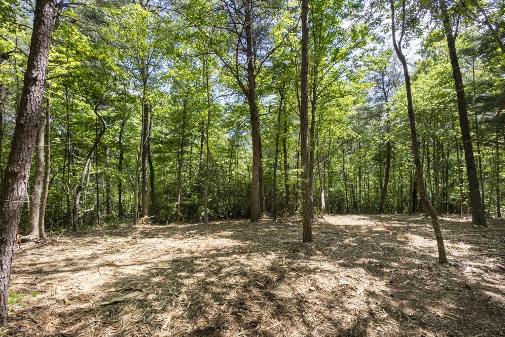 34 Ac Donley Road Property Photo 25