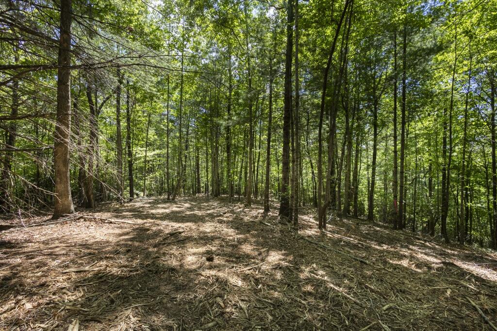 34 Ac Donley Road Property Photo 27