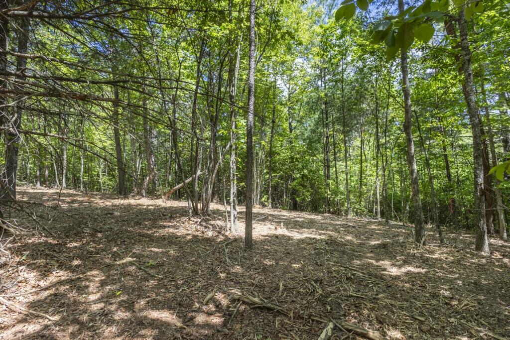 34 Ac Donley Road Property Photo 28