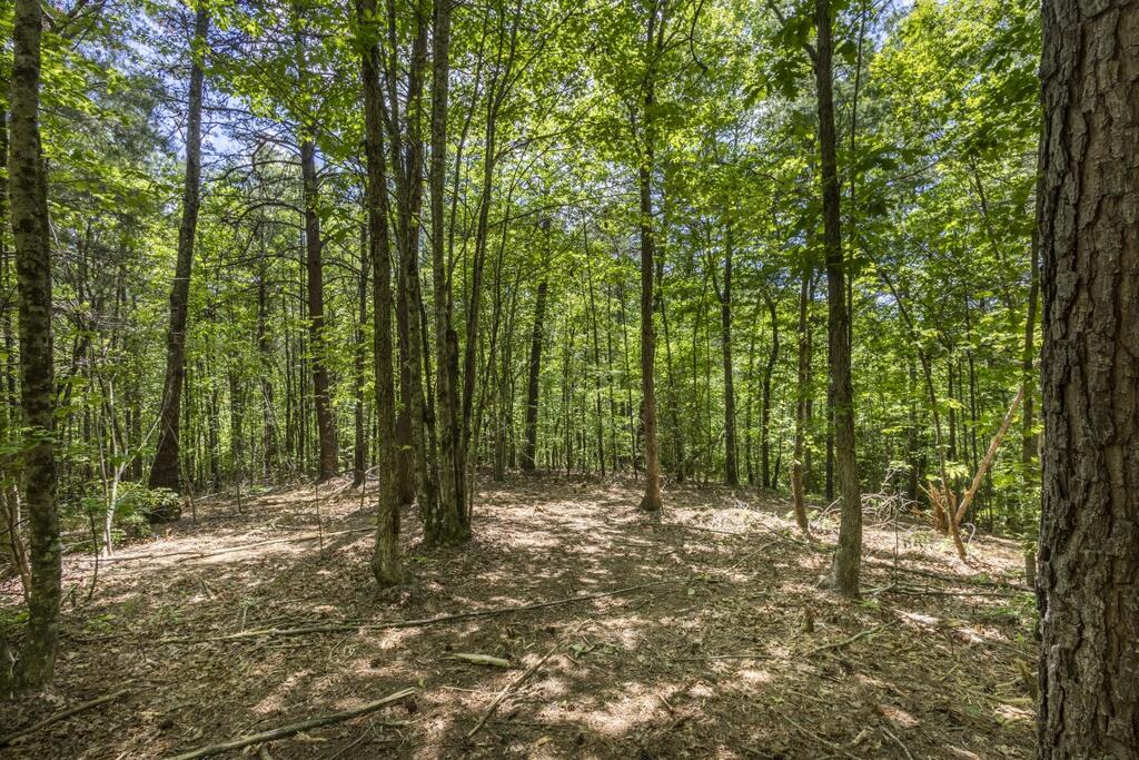 34 Ac Donley Road Property Photo 29